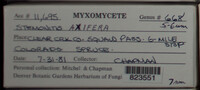 Image Associated With the Occurence